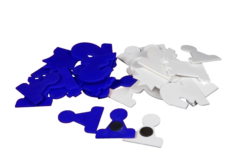 Magnetic Chess Demonstration Pieces