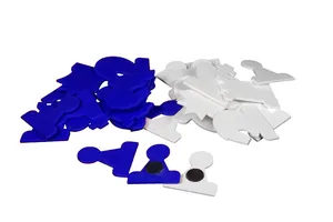 Magnetic Chess Demonstration Pieces