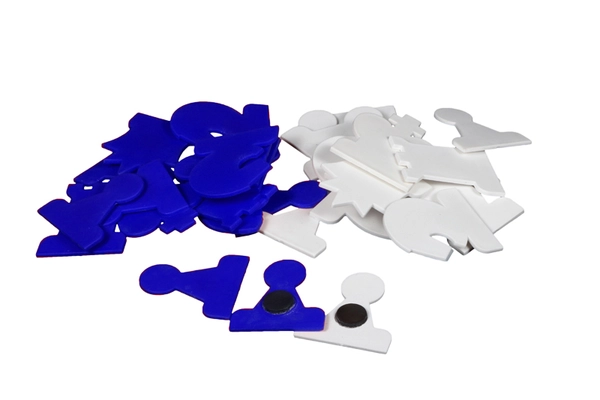 Magnetic Chess Demonstration Pieces