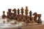 Magnetized Travel Chess Set